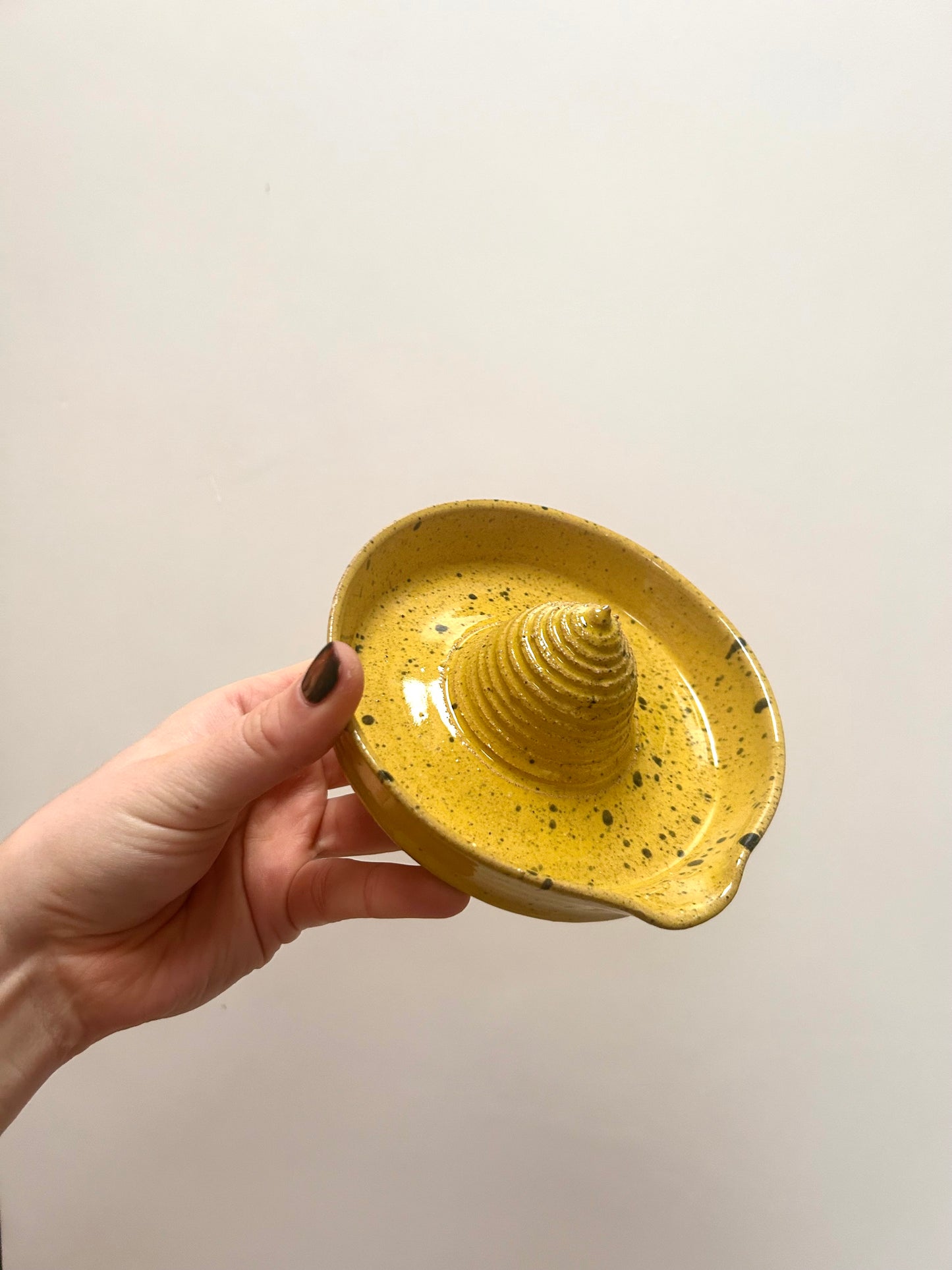 Citrus Juicer